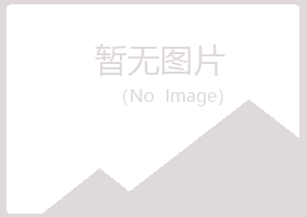 陵县夏日建设有限公司